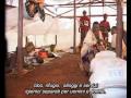 UNICEF - La ricerca del passato per i profughi del Burundi