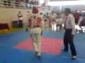 2009-01-02 | tae kwon do coyoacan ~> torneo fransisco j mujica ... (02:46)