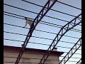 SPIDERMAN NONNO CORAPI RETURNS