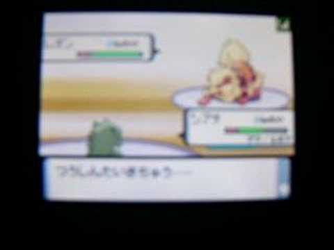 アラン vs @ユウ - Pokemon DP Wi-Fi battle movie