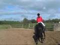 Schooling Star