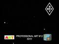 Professional Art 12 - 5012