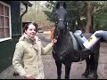 Proefdiervrij Paard