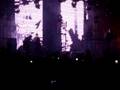 CAFE TACUBA EN CAMPECHE INGRATA