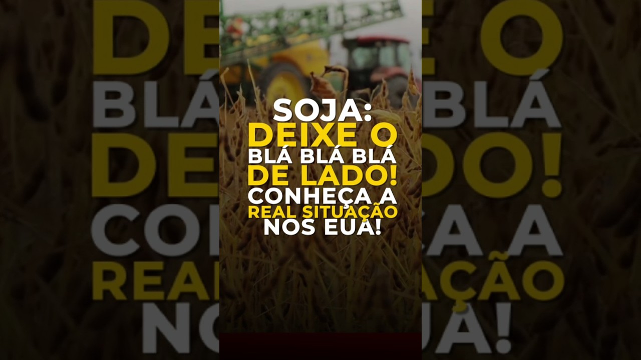 SOJA: DEIXE O BLÁ BLÁ BLÁ DE LADO! CONHEÇA A REAL SITUAÇÃO NOS EUA!