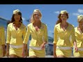 Lynx - Commercial