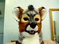 Gray fox head by Feast of Dreams