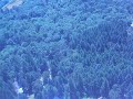 Flying Over the Oregon Country Fair