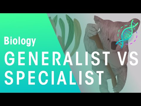 Generalisten vs Spezialisten