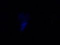 przed koncertem EWR (big Man Tryton)