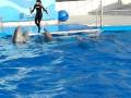 videos de Zoo Barcelona - Demos Casio FH20