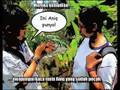videos de Sesat Di Hutan