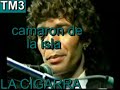 camaron de la isla en tm3   la cigarra   joseantonio788hotm