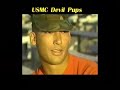 2929 Devil Pups