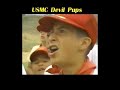 2929 Devil Pups