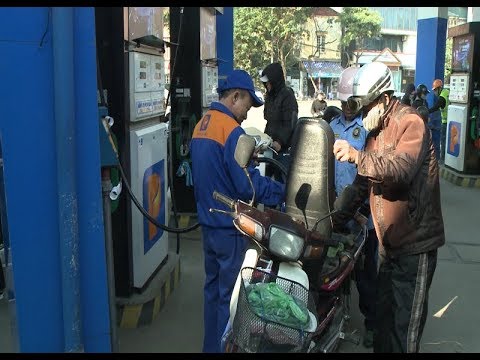 Thực hiện nghiêm chỉ đạo của Chính phủ trong việc triển khai kinh doanh xăng sinh học (KHCN). 