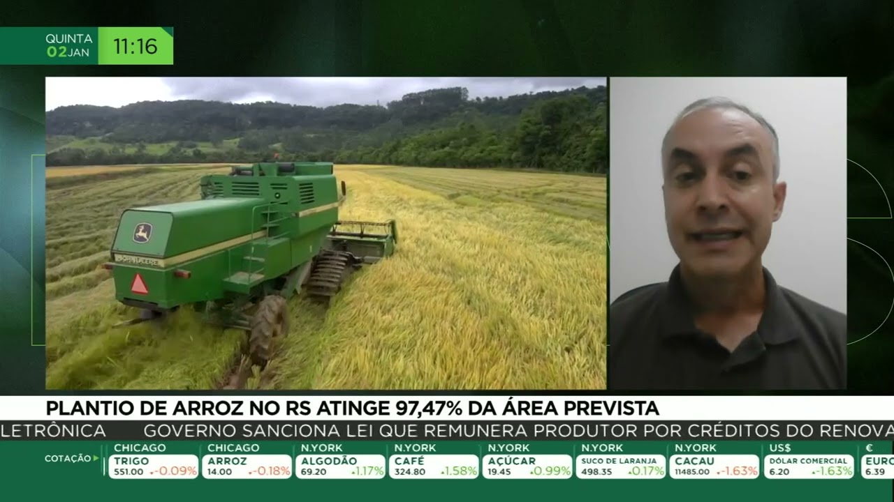 Plantio de arroz no RS atinge 97,47% da área prevista