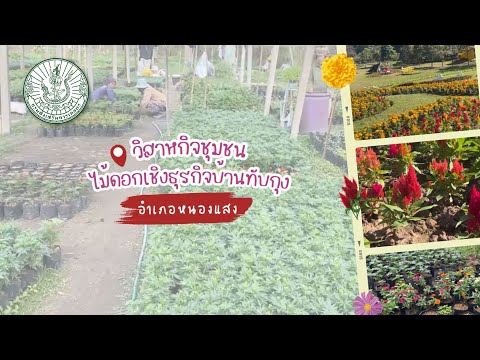 วิสาหกิจชุมชนไม้ดอกเชิงธุรกิจบ้านทับกุง อำเภอหนองแสง จังหวัดอุดรธานี