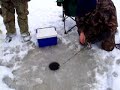 Ice fishing chain pickerel