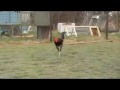 MOV067