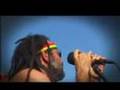 ILA live at baby beach aruba. Part 3