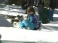 slamming sled - funny ( sled car accident )