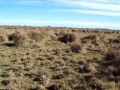 Ver vídeo