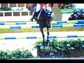 havinia jerez 2demanch landenwedstrijd.wmv