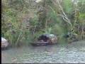 Sundarban- The Beautiful Forest of Bangladesh ...