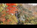 紅葉の夜叉ヶ池