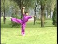 Yi Lu Hua Quan (First Road of Hua Fist) - Thumb #1