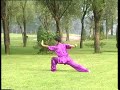 Yi Lu Hua Quan (First Road of Hua Fist) - Thumb #2