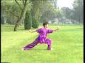 Yi Lu Hua Quan (First Road of Hua Fist) - Thumb #3