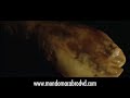 mystics-in-bali-women-into-pigs.html
