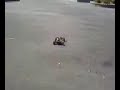 my mantua model rc car