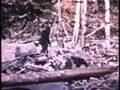 Bigfoot Documentary Part 2: Ancient Mysteries