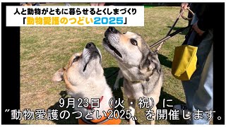 動画のサムネイル