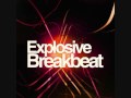 BREAK BEAT- TOADSTYLE