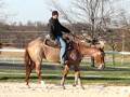 videos de Im Guaranteed Good AQHA 2005 Mare for sale