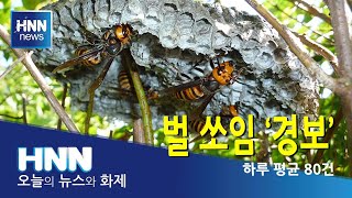 벌 쏘임 '경보'