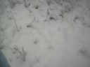 nov,17