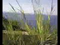 LIPARI 2007