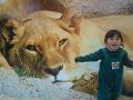 nel en el parque.wmv
