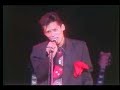 Black Cats ~We gotta have room to Rock~