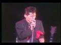 Black Cats ~We gotta have room to Rock~