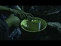 Wasted Engine Oil Recycling MachineOperation process vedio13