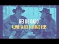 Almir Sater & Sérgio Reis - Rei do Gado (viola caipira)