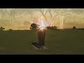 LifeForce Yoga® Setting Your Intention (Sankalpa)
