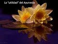Medicina Ayurveda - Dr Jorge Luis Berra