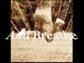 Breathe